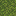 Moss block texture