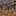 Mycelium block texture