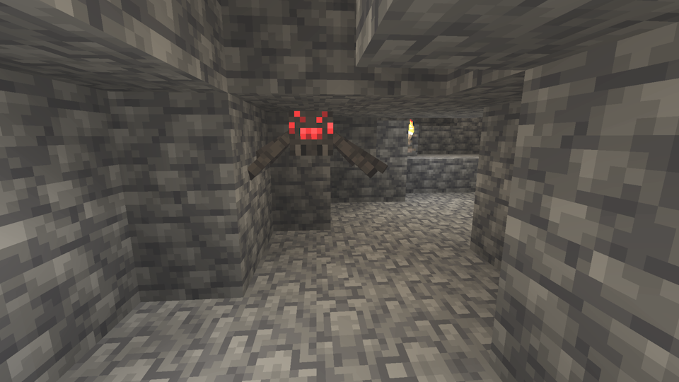 Spider on the ceiling in a cave